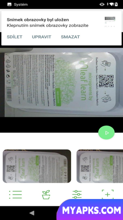 microverdes por LEAF LEARN