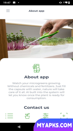 microverdes por LEAF LEARN