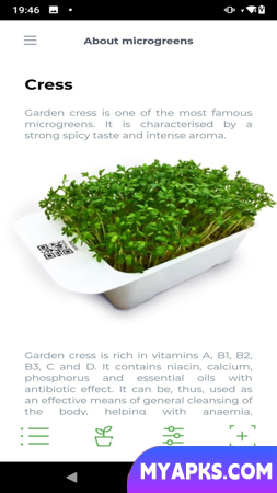 microverdes por LEAF LEARN