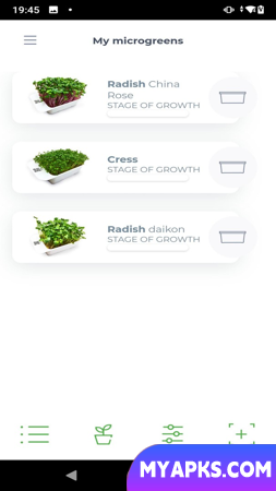microverdes por LEAF LEARN