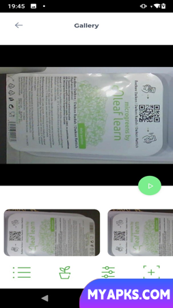 microverdes por LEAF LEARN