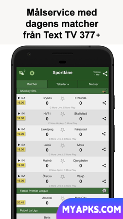Sportfåne - Serviço de gol