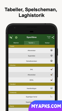 Sportfåne - Serviço de gol