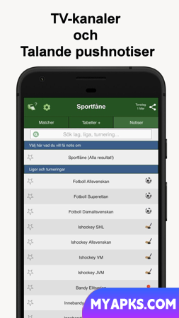 Sportfåne - Serviço de gol