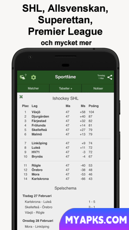 Sportfåne - Serviço de gol