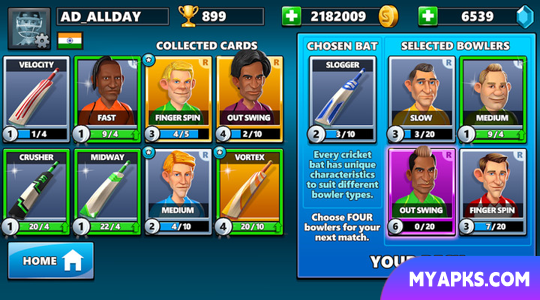 Stick Cricket ao vivo