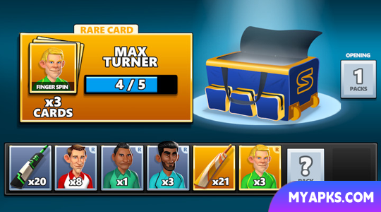 Stick Cricket ao vivo