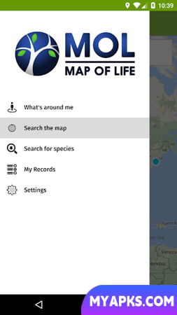 Mapa da vida