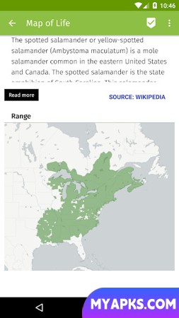 Mapa da vida