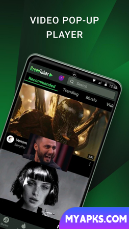 GreenTuber block ads on videos