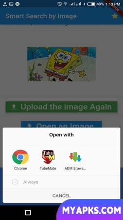 Pesquise por imagem em qualquer aplicativo