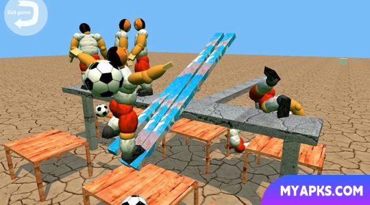 Goofball Goals Soccer Game 3D