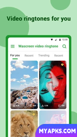 Toque de vídeo Wascreen