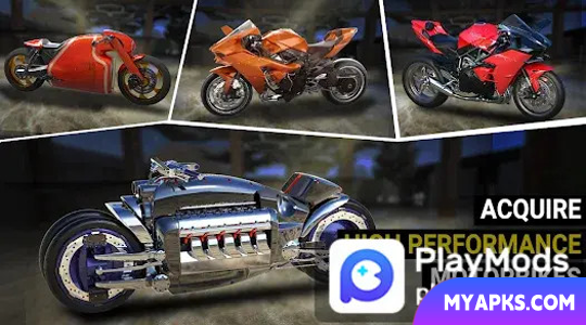 Campeonato de motocicletas de estrada real