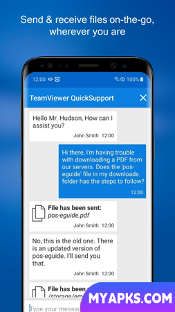 Suporte rápido TeamViewer