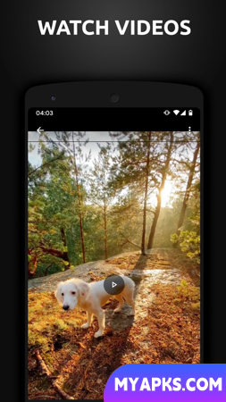 Downloader de vídeo para TikTok
