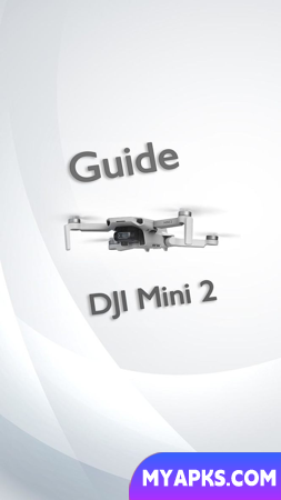 DJI Mini 2 Guide