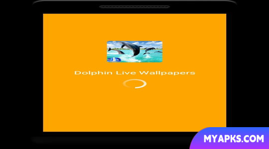 Dolphin Live Wallpaper - Scree