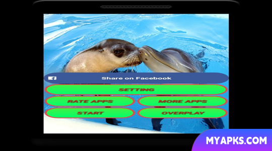 Dolphin Live Wallpaper - Scree