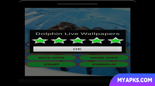 Dolphin Live Wallpaper - Scree