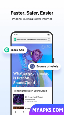 Phoenix Browser - Fast & Safe