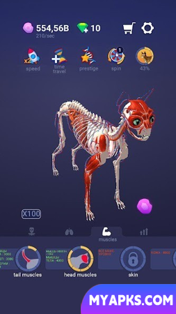 Idle Pet - Create cell by cell
