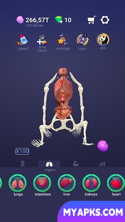 Idle Pet - Create cell by cell
