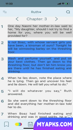 NIV Bible