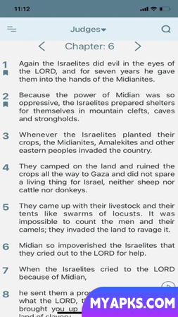 NIV Bible