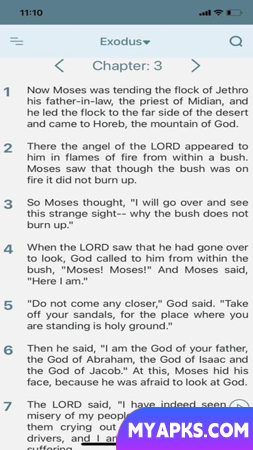NIV Bible