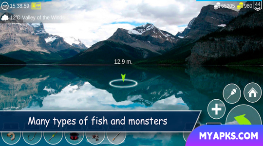 My Fishing World