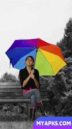 PicSay Pro - Photo Editor