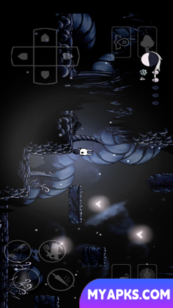 Hollow Knight