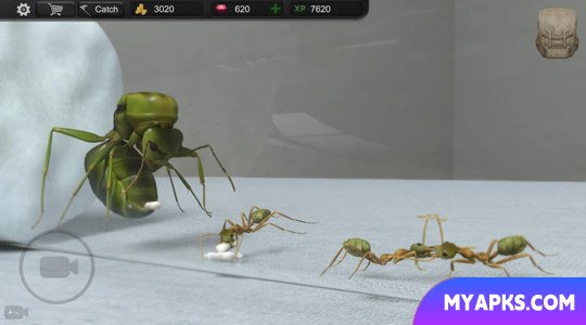 Ant Sim Tycoon