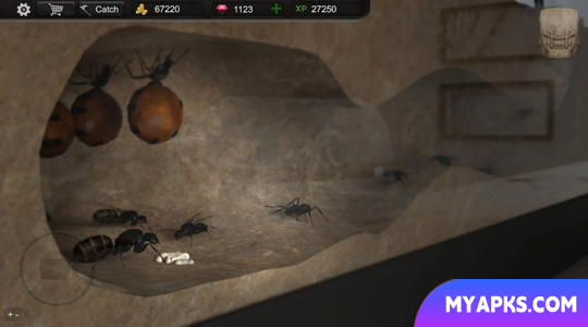 Ant Sim Tycoon