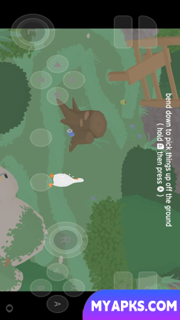 Untitled Goose