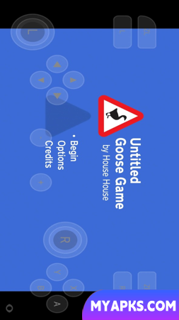 Untitled Goose