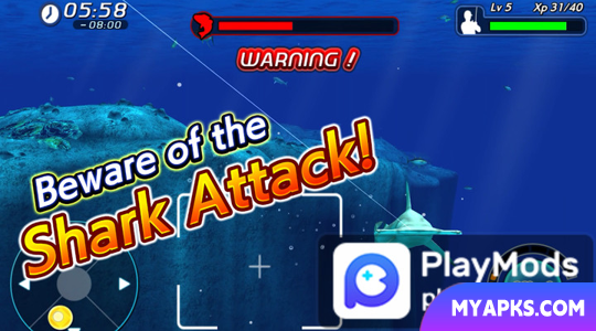 Wild Shark Fishing