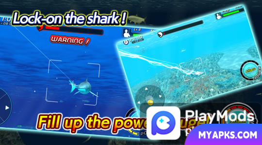 Wild Shark Fishing