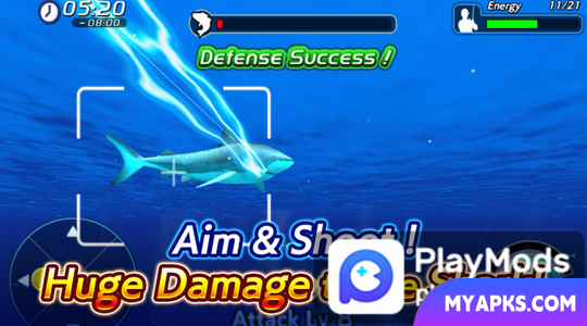 Wild Shark Fishing