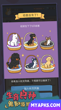 Simulador de vida canina