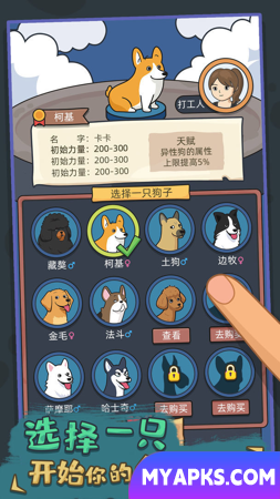 Simulador de vida canina