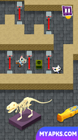 Phantom Cats