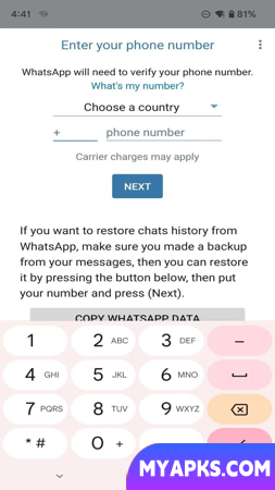 Blue WhatsApp