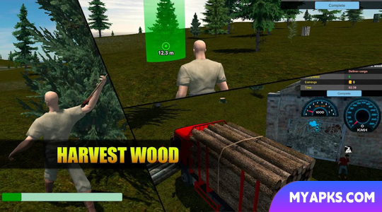 Open World MMO Sandbox Online