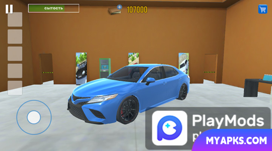 Simulador de motorista