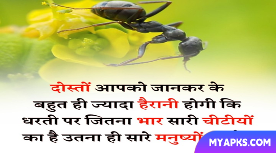 Interesting Facts Hindi