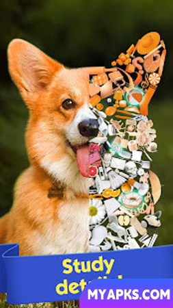 Tiny Things: hidden object games