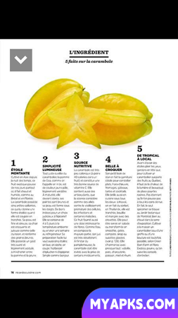 Magazine RICARDO