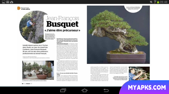 Esprit Bonsai